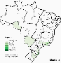 genealogy:brasil-masieiro.gif