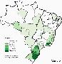 genealogy:brasil-masiero.gif