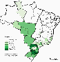 genealogy:brasil-maziero.gif