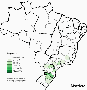 genealogy:brasil-mazziero.gif