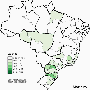 brasil-mazieiro.gif